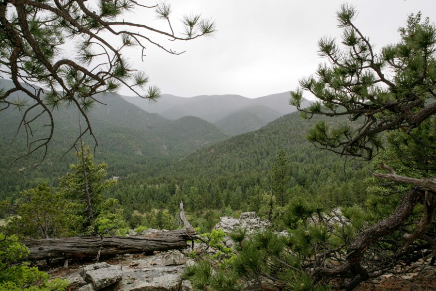 Hike to Ceremony with Incredible Views in Ute Park, NM