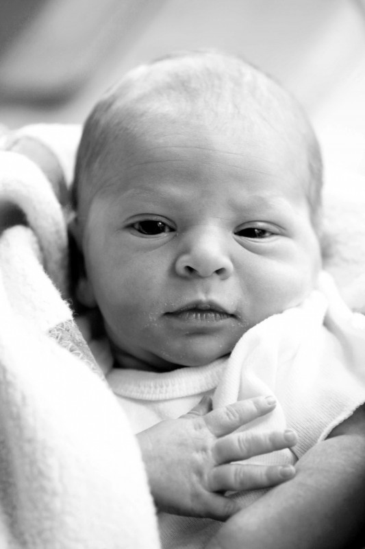 black and white or color portraits