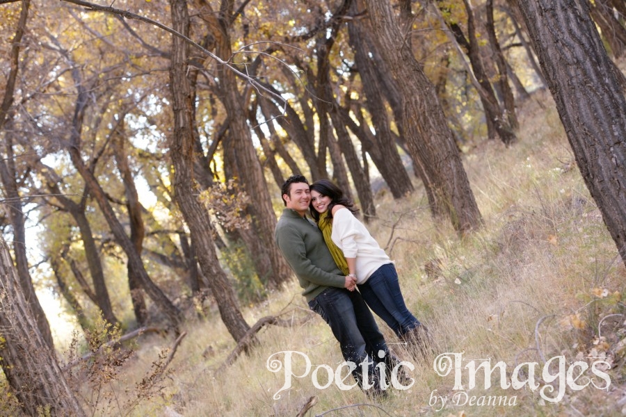 Autumn in the Bosque