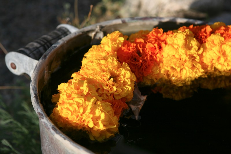 orange and gold fall wedding detail