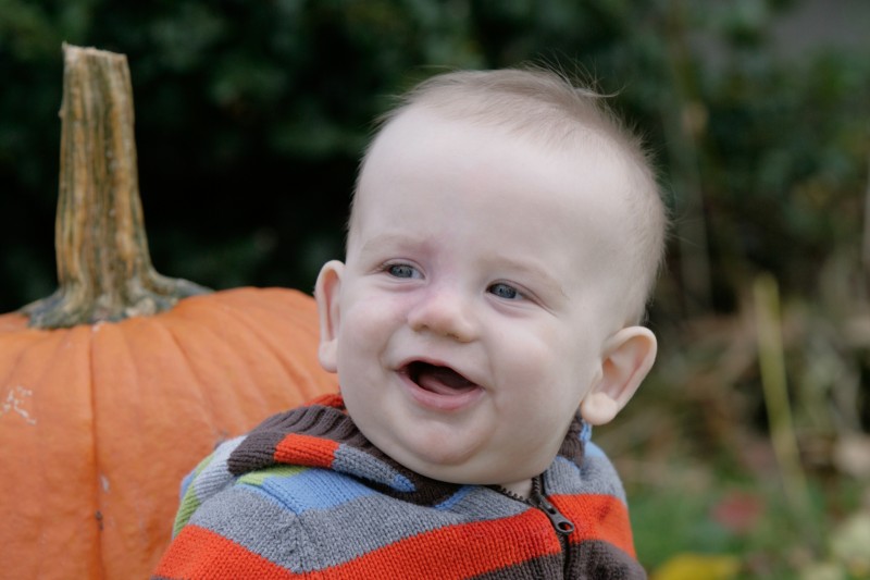 baby portraits