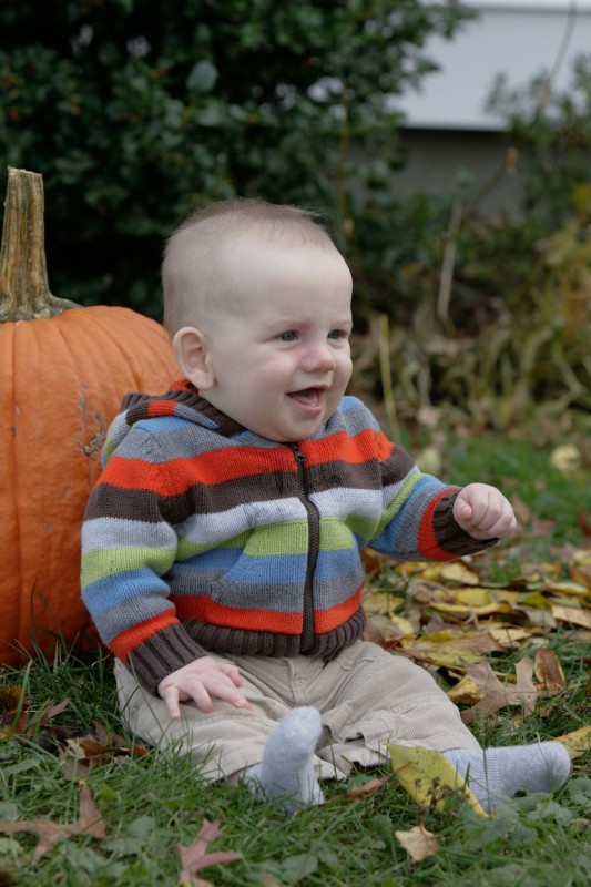 outdoor photo sessions for family photographs