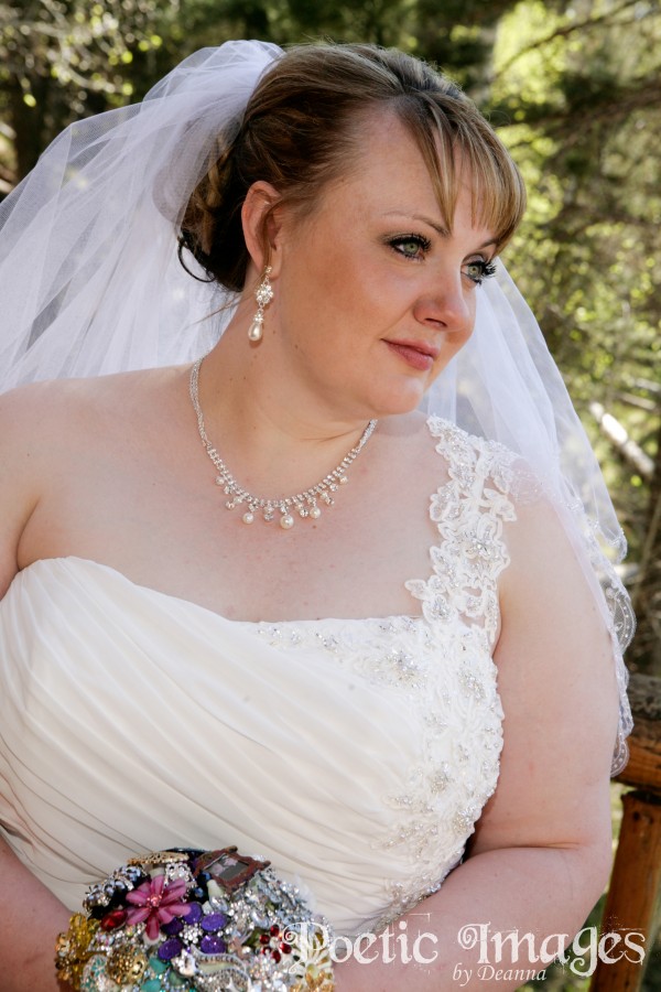 Angel Fire Wedding Photography Angel Fire Wedding Photography