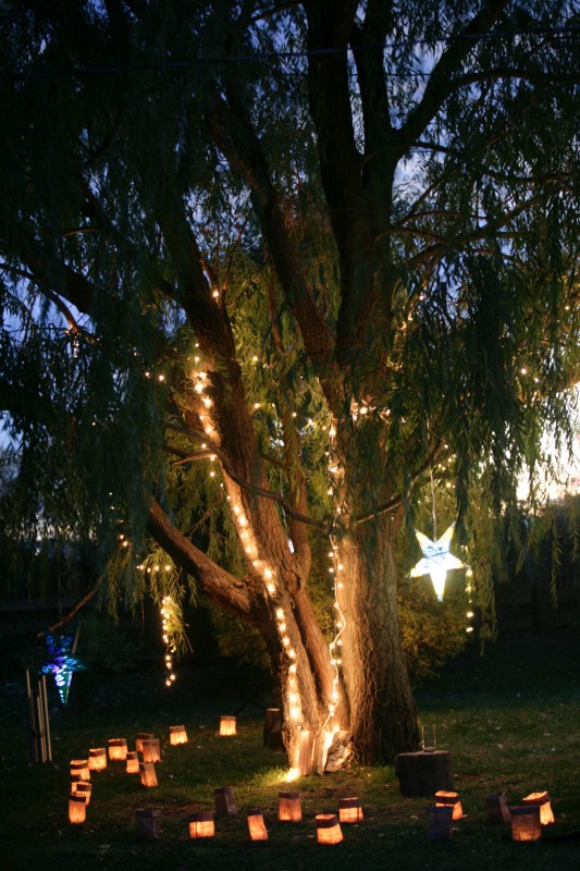 wedding luminarias 