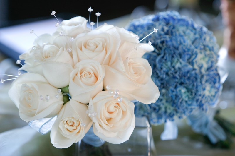 white roses, blue carnations 