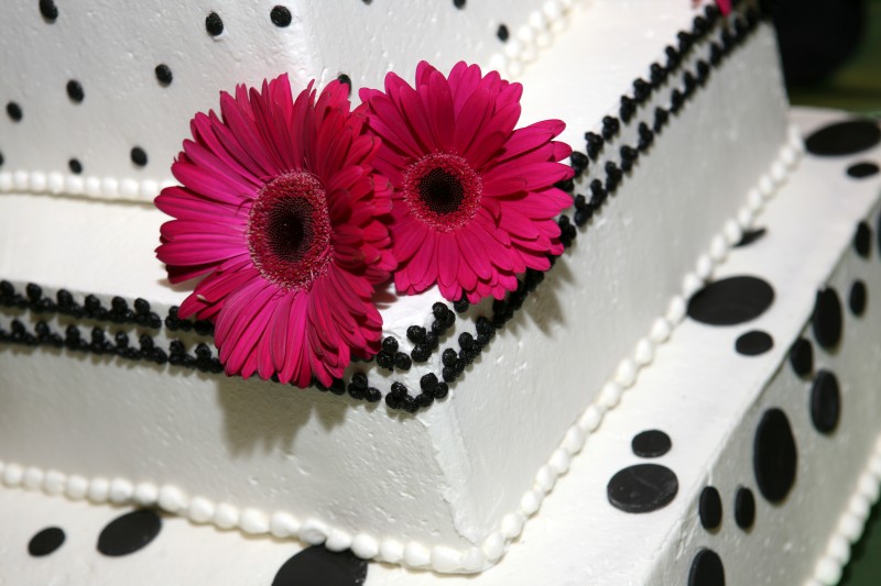 photo taos wedding cake gerber daisy 