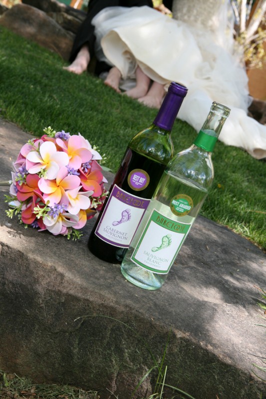taos wedding photographer