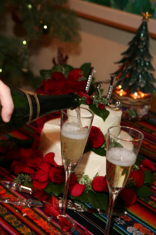 Wedding champagne toast