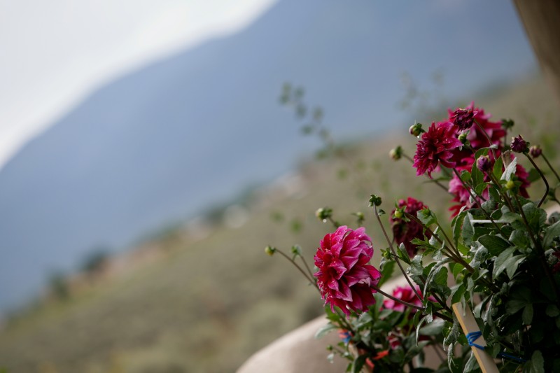 Taos Mountain in September on mesa