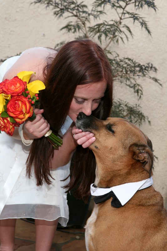 bride and pet and flower photographer