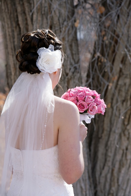 Details: Veil, Back of Dress, Bouquet