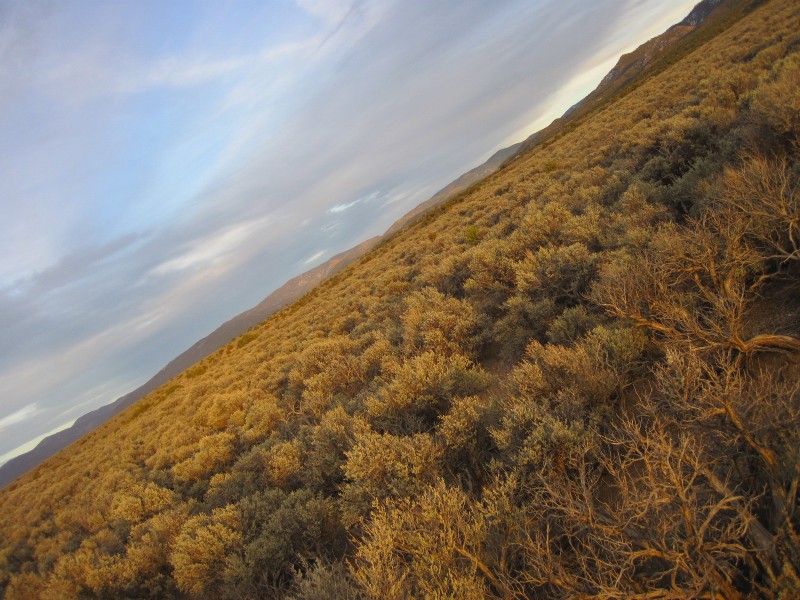 ranchos de taos photographer, nm