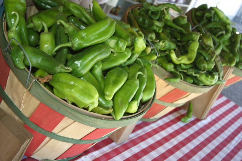 taos nm green chiles photographer