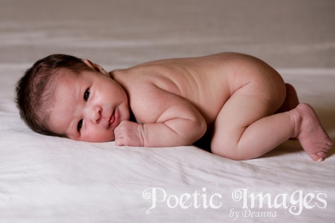 naked baby portraits