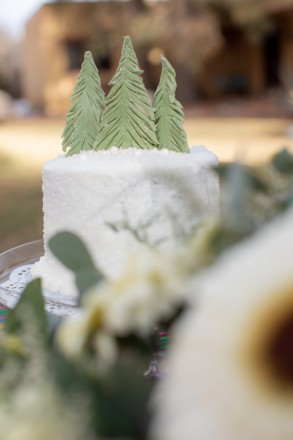 winter elopement wedding cake with pine trees