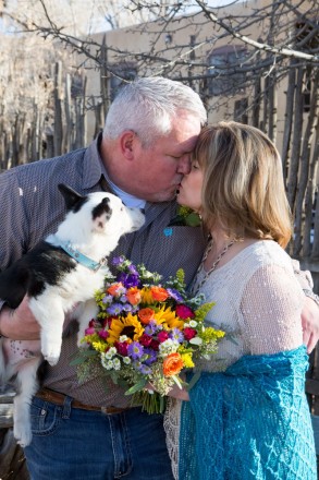 Taos wedding with dog