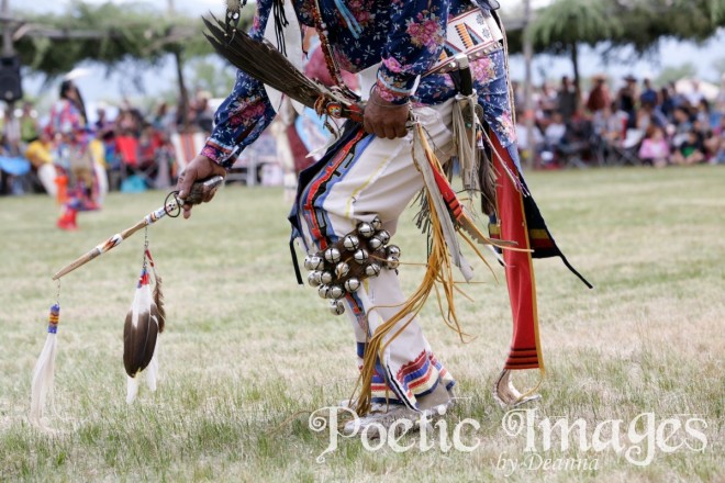 Taos Powwow gathering