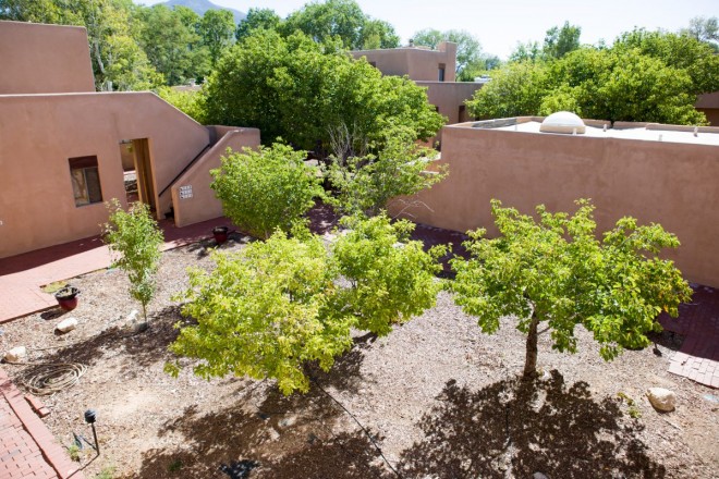 Fruit trees in small courtyard at Quail Ridge in El Prado, NM