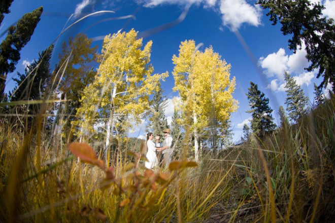 The grasses in the meadow around Sarah and Edwardo were yellow, green, orange and brown