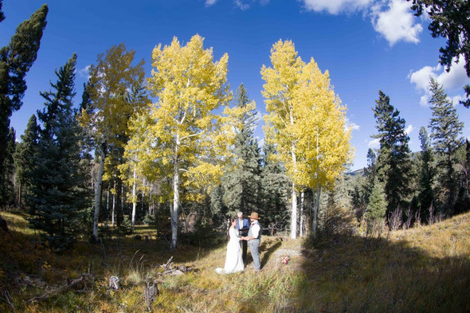 Sarah and Edwardo were surrounded by the trees as they held hands and said their vows