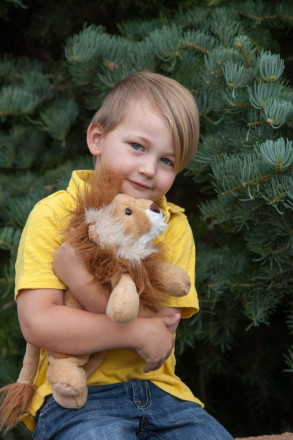 4-year-old portraits outdoors with favorite plushy Mr. Lion