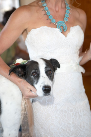 Chasity reassures the wedding's best-dog before her ceremony