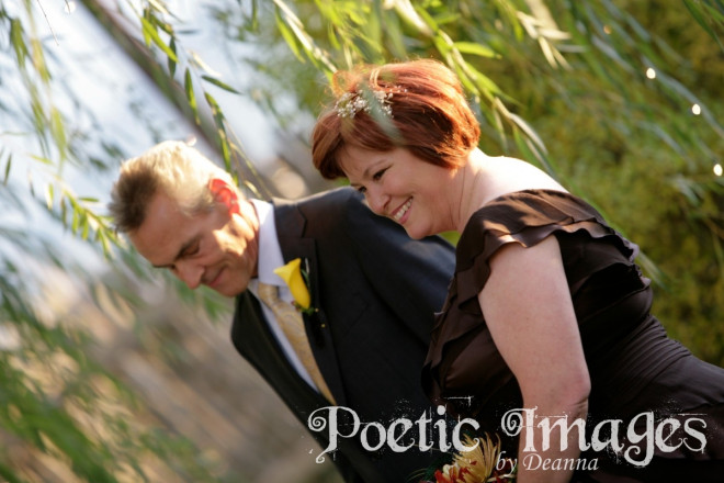 weeping willow and Taos light