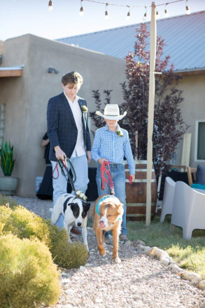 The kids of the wedding couple walk the wedding dogs down the aisle