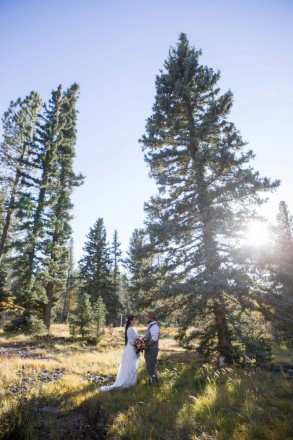 Grand ponderosa pines were a gorgeous backdrop to this couple's wedding pictures