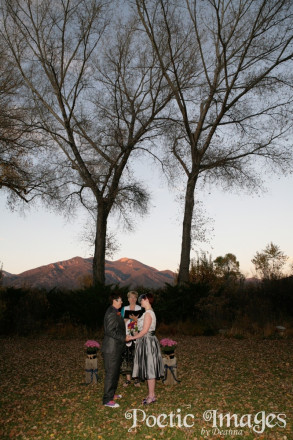 Taos wedding