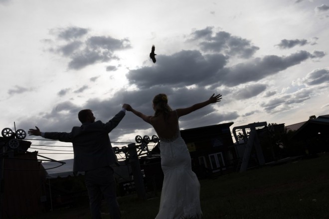 As bride and groom pose for silhouette photo, a ravel photobombs in the sky above