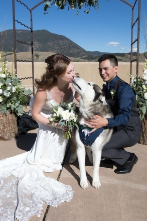Israel's husky kisses the bride at the altar on wedding day