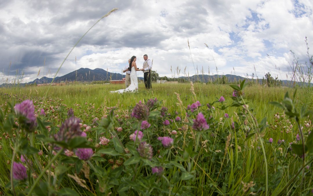 Lovers from Texas Marry in Green Meadow with Mountain Views