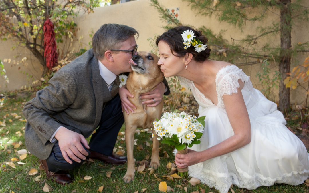 Outdoor Autumn Wedding in Taos, NM