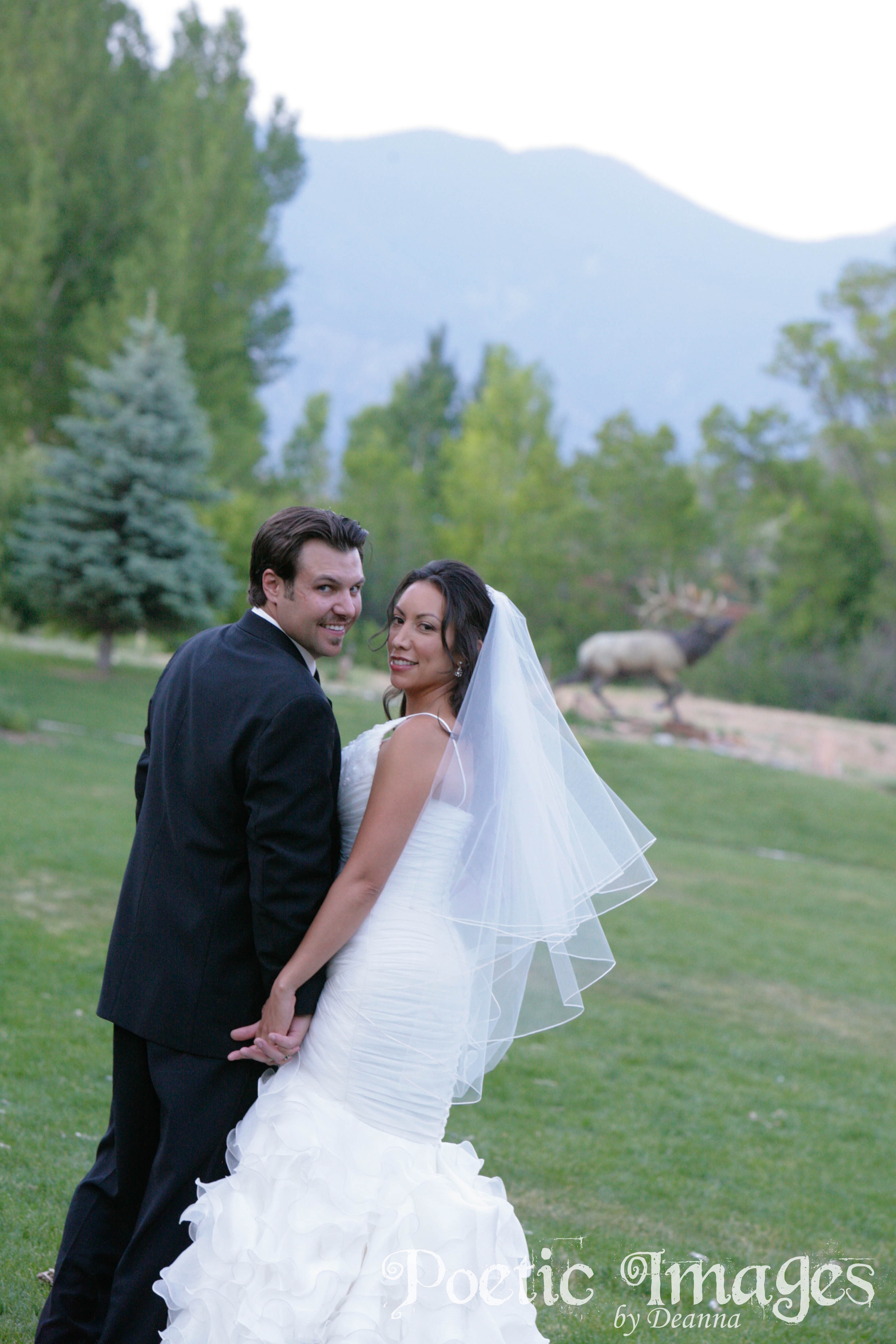 An El Monte Sagrado Wedding in Taos, NM
